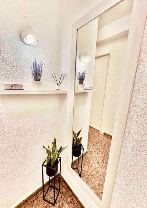Apartment Citadella *