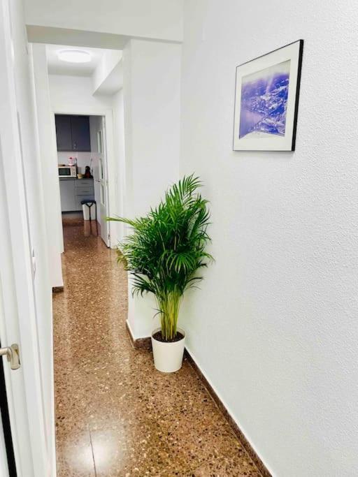 Citadella Puerto de Sagunto